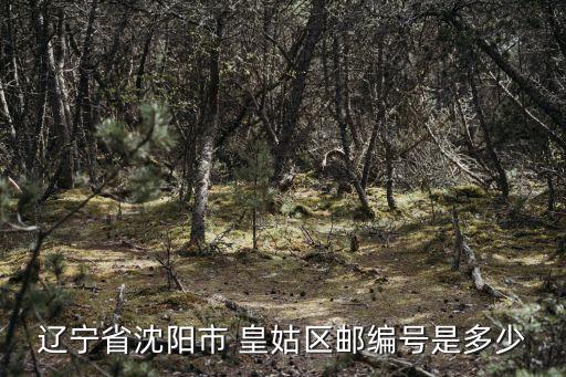 皇姑,皇姑區(qū)房產(chǎn)辦事大廳地址遼寧省沈陽市皇山中路131號