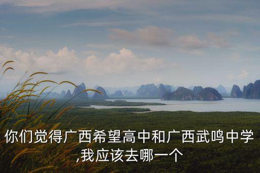 你們覺得廣西希望高中和廣西武鳴中學,我應該去哪一個