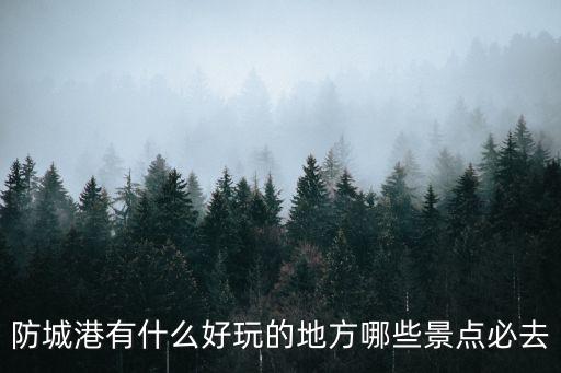 防城港在哪里,防城港有哪些重點?