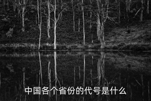 中國(guó)各個(gè)省份的代號(hào)是什么