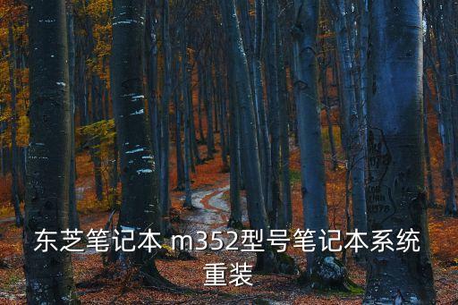 東芝筆記本 m352型號筆記本系統重裝