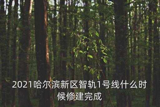 2021哈爾濱新區智軌1號線什么時候修建完成