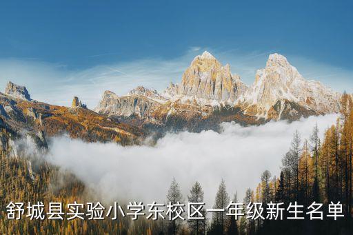 舒城縣千人橋中學(xué),兩所中學(xué)的地址和郵編都在舒城縣城關(guān)鎮(zhèn)