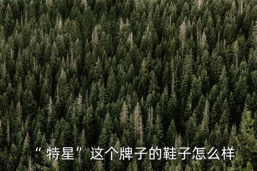 “ 特星”這個牌子的鞋子怎么樣