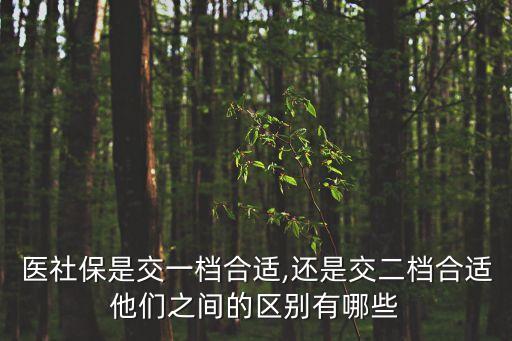 醫社保是交一檔合適,還是交二檔合適他們之間的區別有哪些