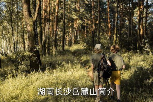 湖南長(zhǎng)沙岳麓山簡(jiǎn)介