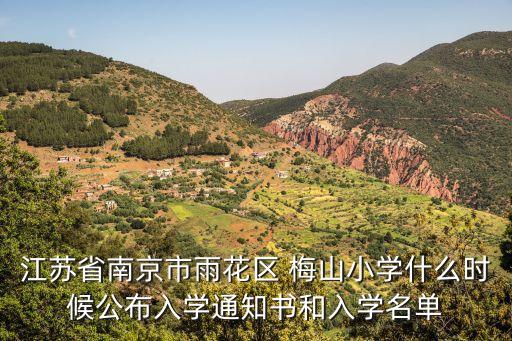 江蘇省南京市雨花區(qū) 梅山小學什么時候公布入學通知書和入學名單
