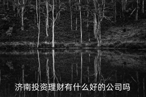 濟南投資理財有什么好的公司嗎