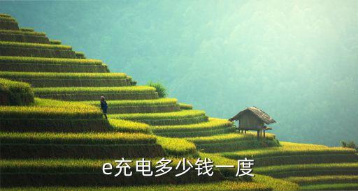 e充電多少錢一度