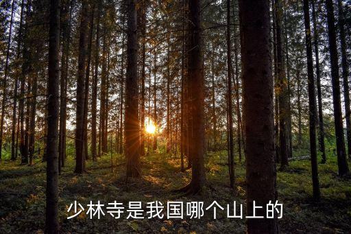 少林寺是我國哪個山上的