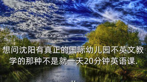想問(wèn)沈陽(yáng)有真正的國(guó)際幼兒園不英文教學(xué)的那種不是就一天20分鐘英語(yǔ)課...