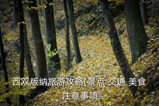 西雙版納旅游攻略(景點 交通 美食 注意事項