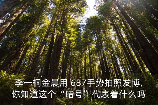 李一桐金晨用 687手勢拍照發博,你知道這個“暗號”代表著什么嗎