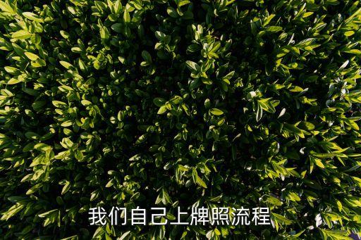 車輛上牌照流程,動車上牌流程如下:
