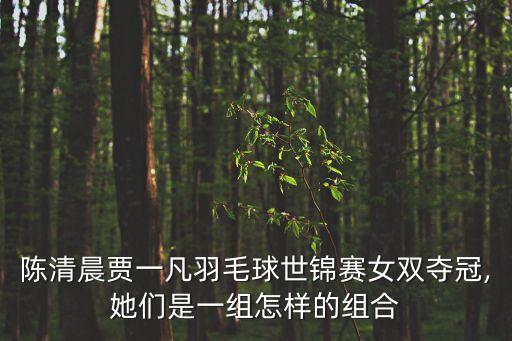 羽毛球女雙,羽毛球女雙發球規則陳清晨賈一凡奪冠