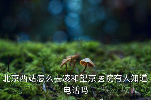 望京醫院電話,北京朝京醫院看病怎么樣?