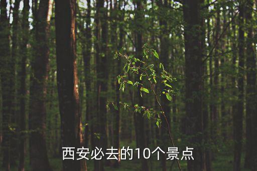 西安旅游必去十大景點,西安十大必去景點推薦:秦皇兵馬俑、回民街、大雁塔