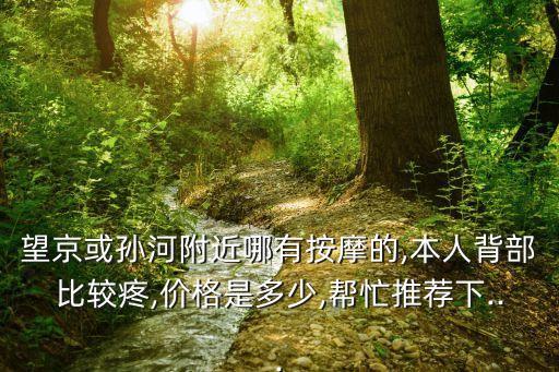 望京或?qū)O河附近哪有按摩的,本人背部比較疼,價(jià)格是多少,幫忙推薦下...