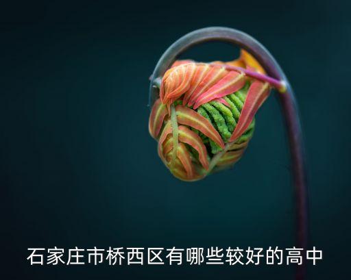 石家莊第十七中學,石家莊初中前十名學校名單出爐