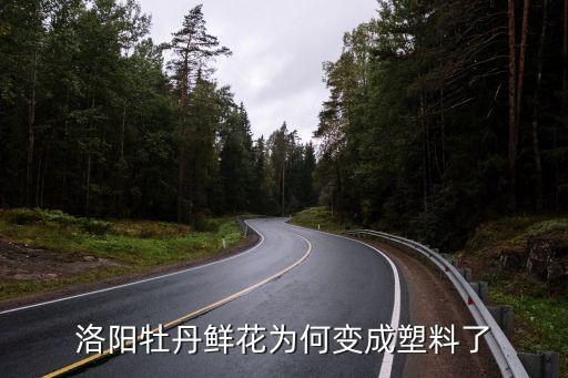 花海圖片,洛陽薰衣草莊園出現假花網民:假花!