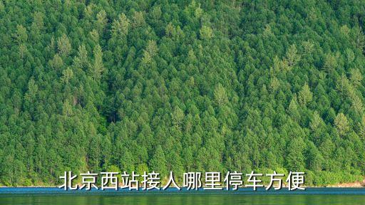 北京西站接人哪里停車方便