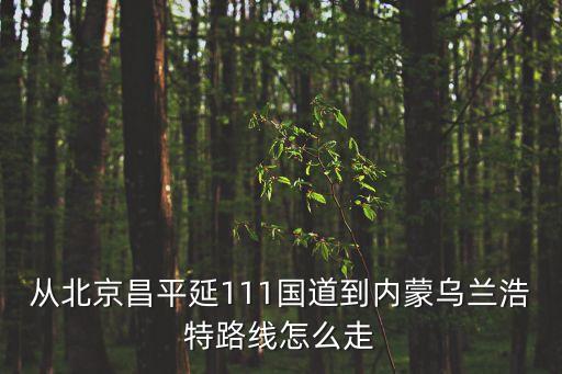 北京到烏蘭浩特,從北京到烏蘭浩特直達列車有高級軟臥嗎?