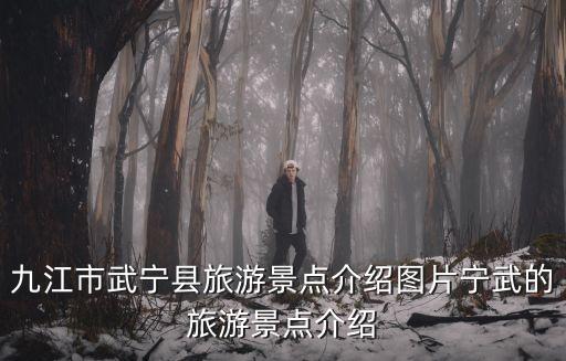 魯溪洞風景區門票,江西還有哪些景點免門票?