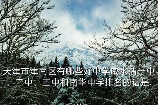 天津市津南區有哪些好中學咸水沽一中、二中、三中和南華中學排名的話是...
