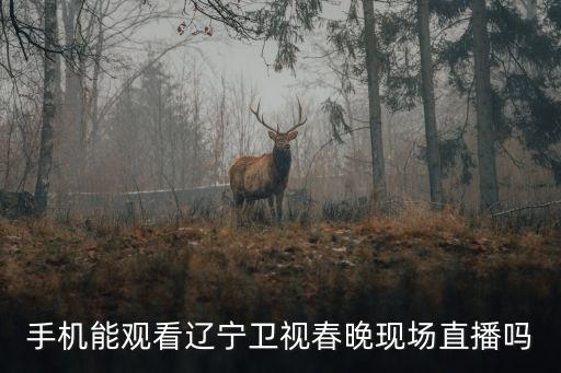 手機能觀看遼寧衛視春晚現場直播嗎