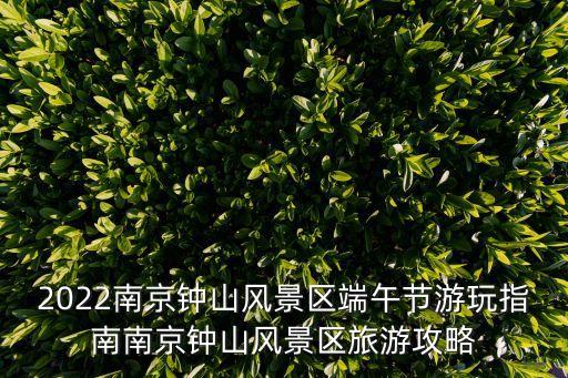 中山陵攻略,南京中山陵元旦限流措施明天公布