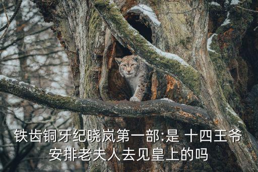 十四王爺,《甄嬛傳》四姑娘和十四王爺是什么關系?