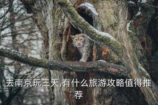 去南京玩三天,有什么旅游攻略值得推薦