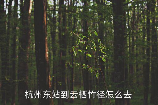 杭州東站到云棲竹徑怎么去