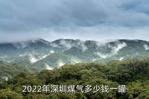 2022年深圳煤氣多少錢一罐