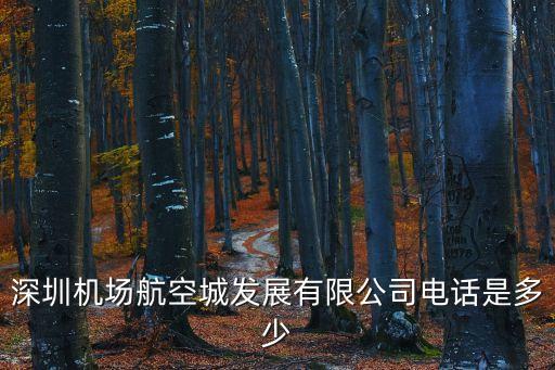 深圳機場電話,深圳寶安機場咨詢電話多少?