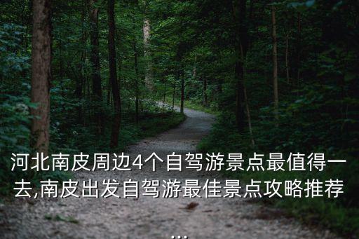 河北省南皮縣,南皮縣有多少個村南皮鎮有45個行政村