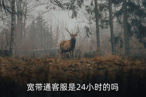 寬帶通電話,北京寬帶通投訴電話在哪投訴?