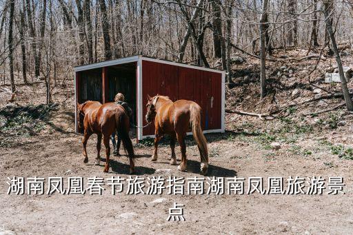 安塞旅游景點大全,延安洛川旅游景點大全安1.西安三原景點全安