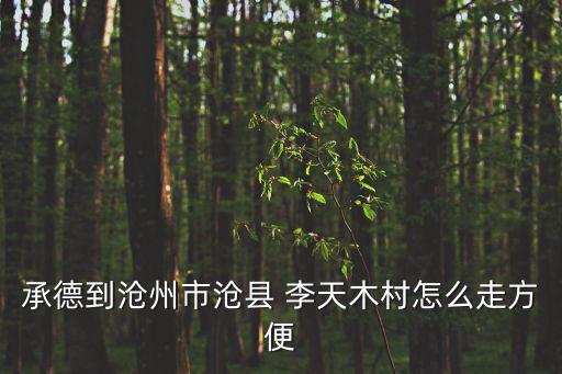 李天木,從承德到滄縣李天木村怎么走?