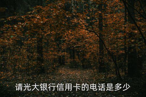 請光大銀行信用卡的電話是多少
