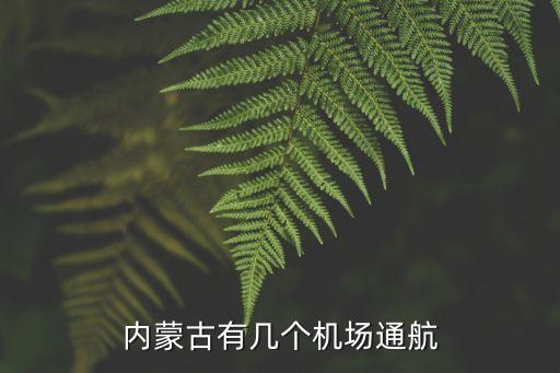 內(nèi)蒙古有幾個機(jī)場通航