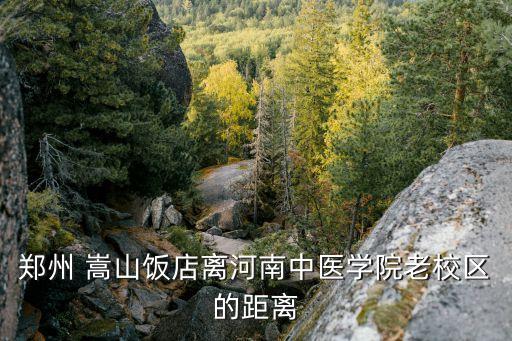 鄭州 嵩山飯店離河南中醫學院老校區的距離