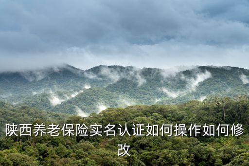 陜西養(yǎng)老保險(xiǎn)實(shí)名認(rèn)證如何操作如何修改