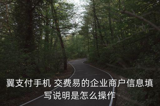 翼支付手機 交費易的企業商戶信息填寫說明是怎么操作