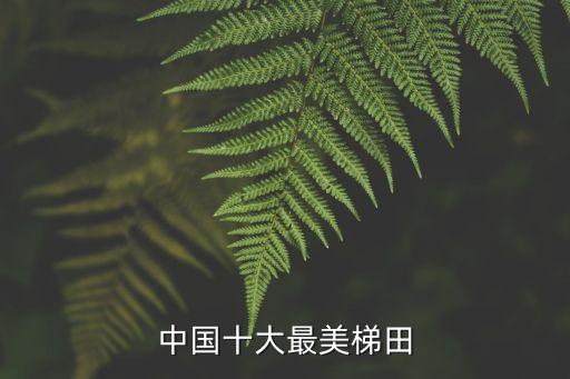 中國十大最美梯田