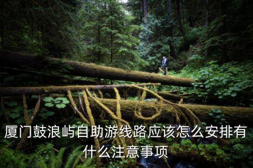 鼓浪嶼手繪地圖,鼓浪嶼攻略