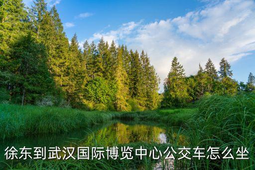 徐東到武漢國際博覽中心公交車怎么坐