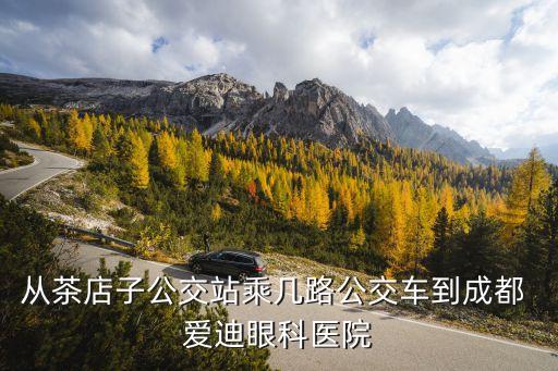 愛迪眼科醫院,成都愛迪眼科醫院到達成都怎么走?