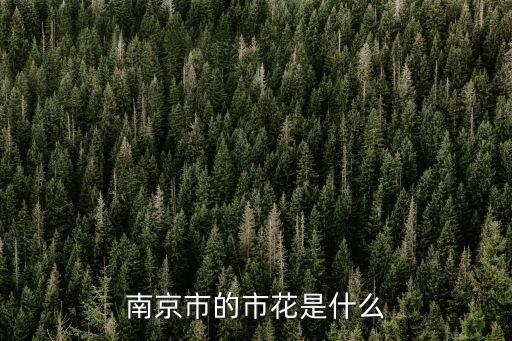 鎮江市花,北京花玉蘭天津市花山茶香港花紫荊
