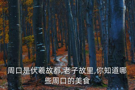 周口美食,周口特色美食有哪些?